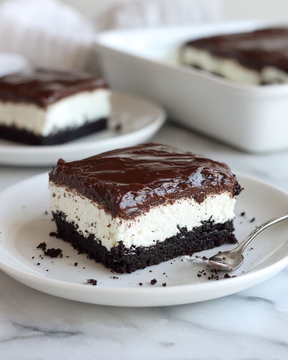 Mississippi Mud Cake Recipe - Recipe Image